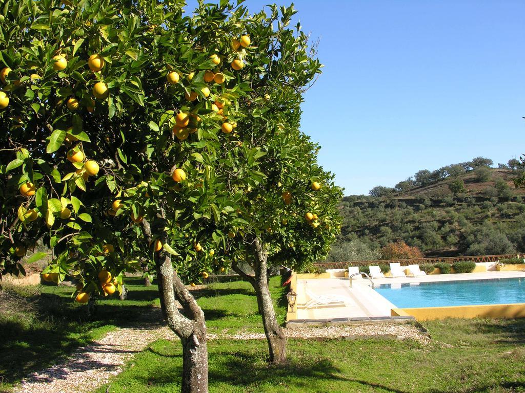 Quinta Do Colmeal Villa Vila Viçosa Exterior foto